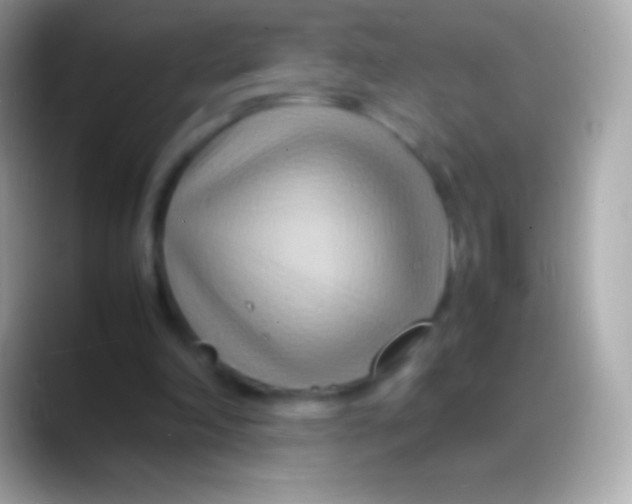 X0000088130198200706041325