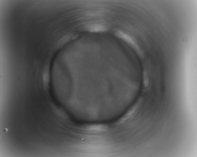 X0000088130202200706041325