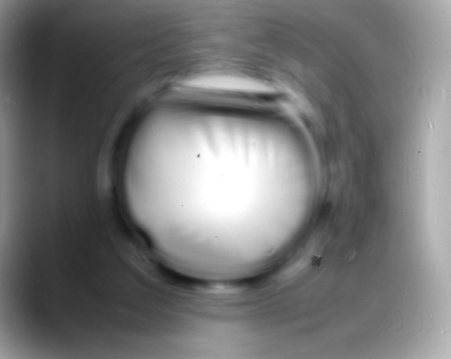 X0000088130203200706041325