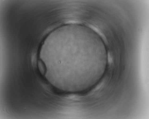 X0000088130204200706041325