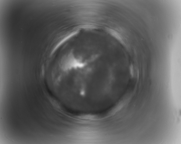 X0000088130205200706041325