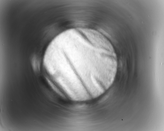 X0000088130206200706041325