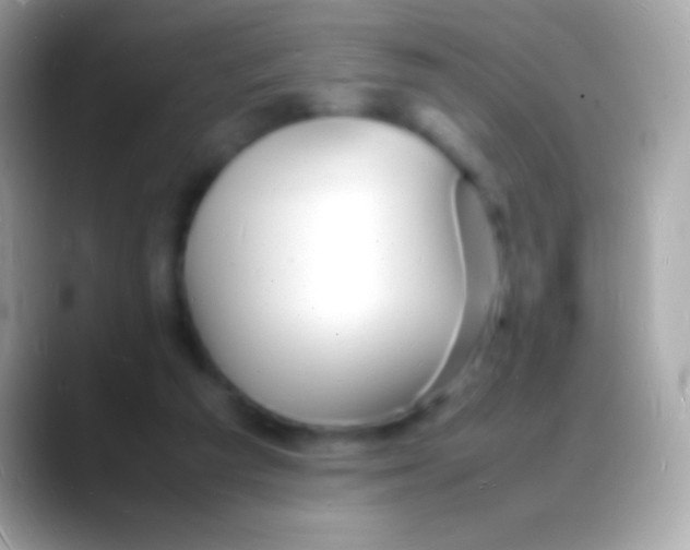 X0000088130209200706041325