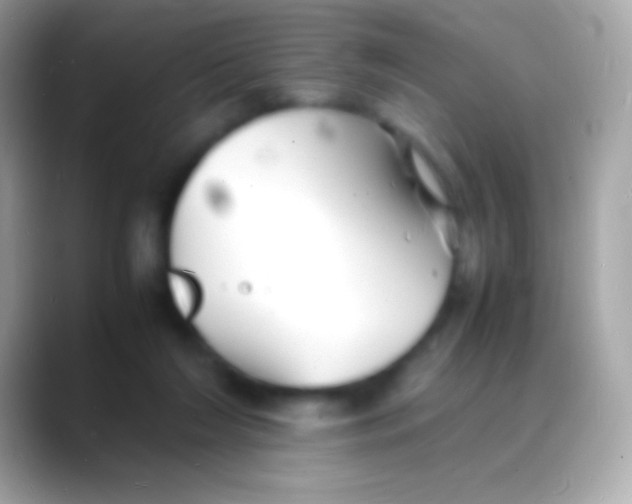 X0000088130212200706041325