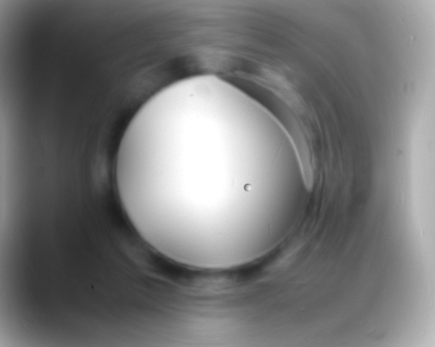 X0000088130213200706041325