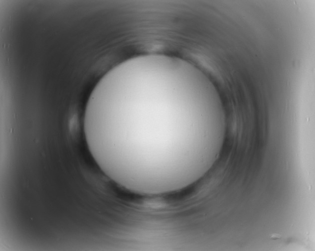 X0000088130214200706041325