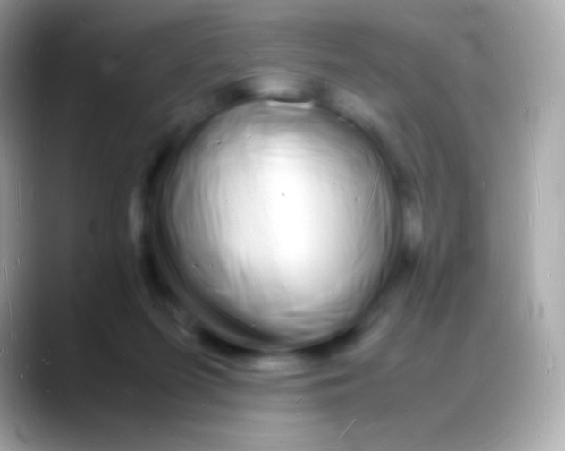 X0000088130215200706041325