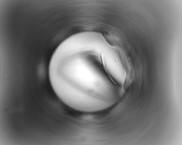 X0000088130216200706041325