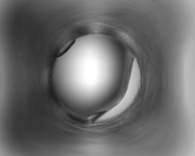 X0000088130217200706041325