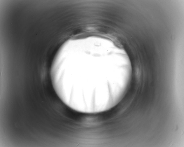 X0000088130220200706041325