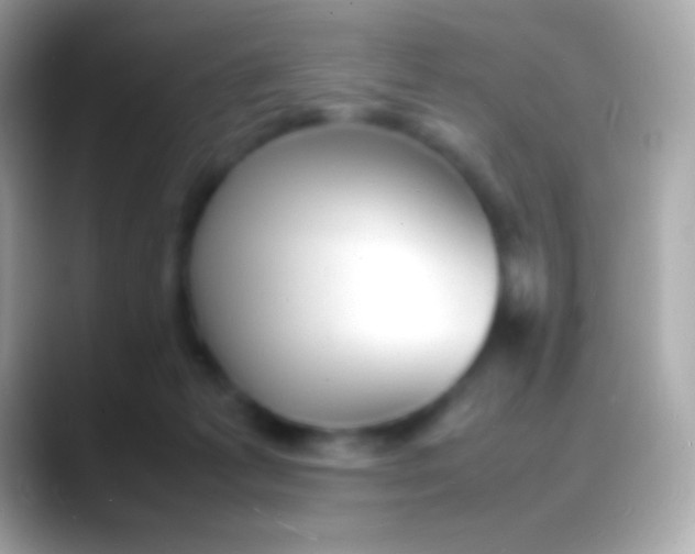 X0000088130221200706041325