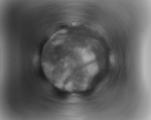 X0000088130222200706041325