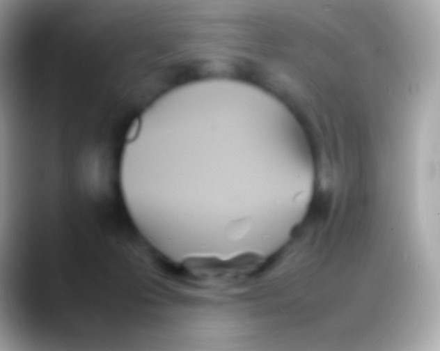 X0000088130223200706041325