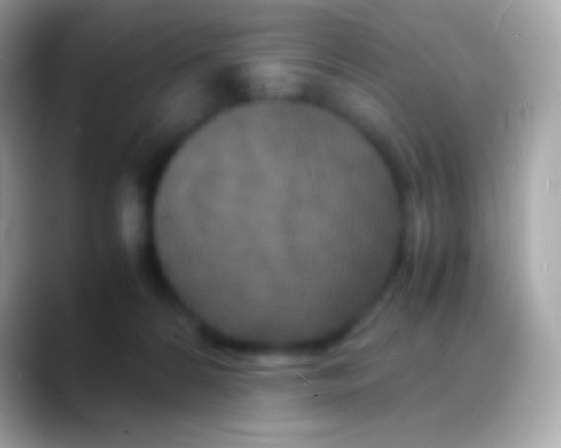 X0000088130224200706041325