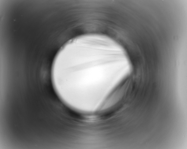 X0000088130226200706041325