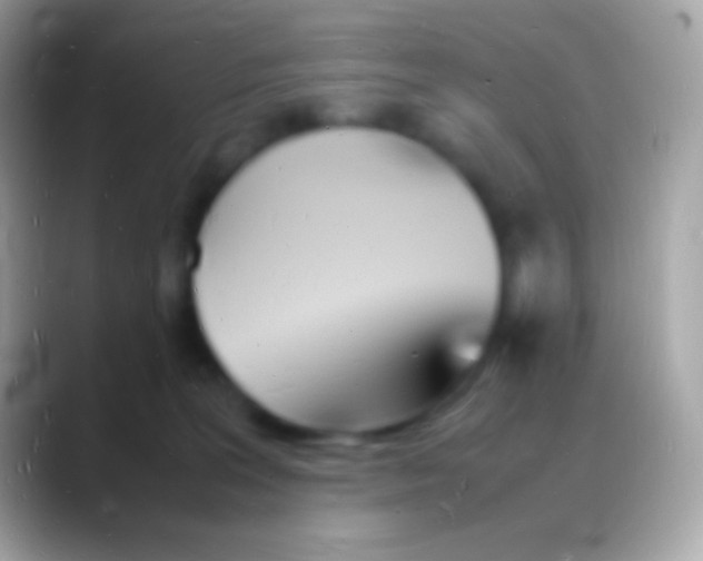 X0000088130227200706041325