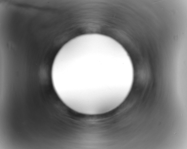 X0000088130228200706041325