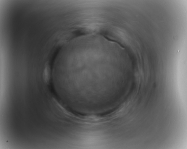 X0000088130231200706041325