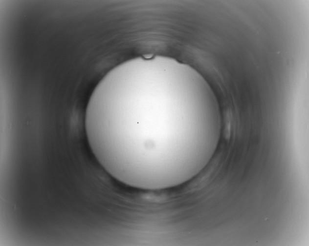 X0000088130232200706041325