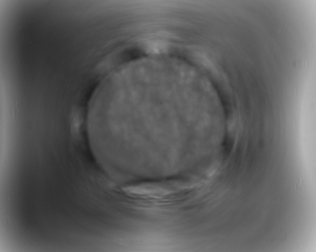 X0000088130233200706041325