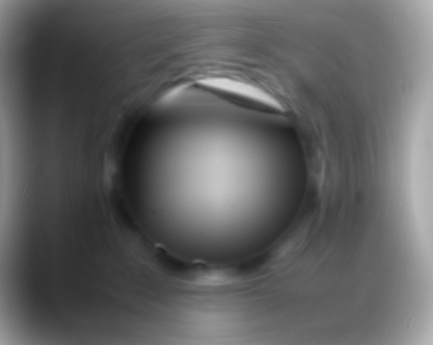 X0000088130235200706041325