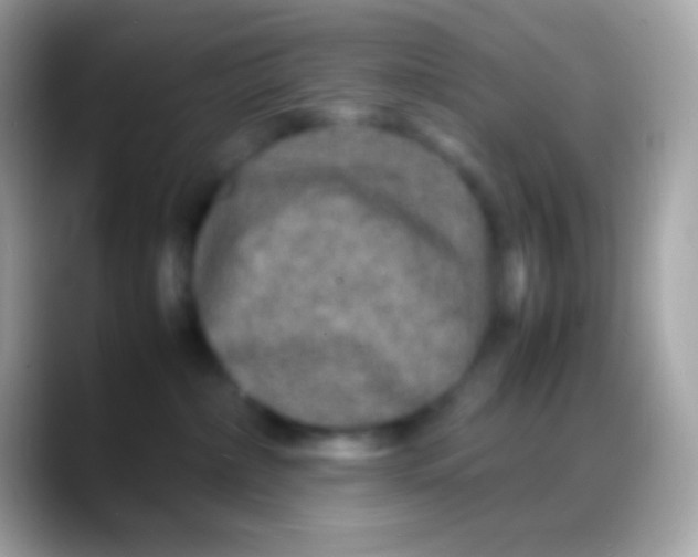 X0000088130236200706041325