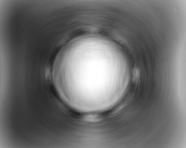 X0000088130238200706041325