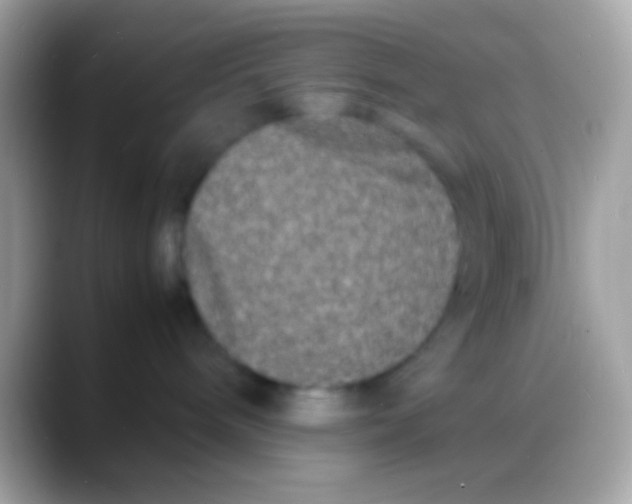 X0000088130240200706041324