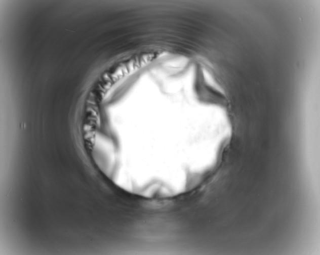 X0000088130241200706041324