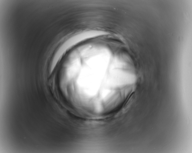 X0000088130242200706041324