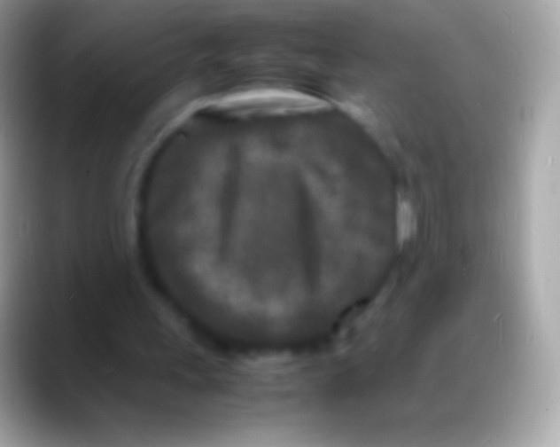 X0000088130243200706041324