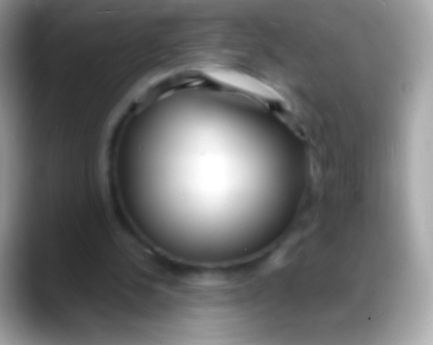 X0000088130244200706041324