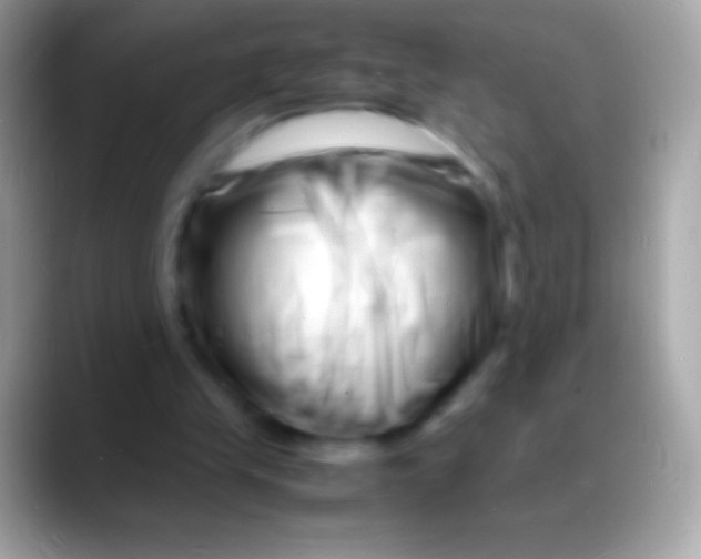 X0000088130245200706041324