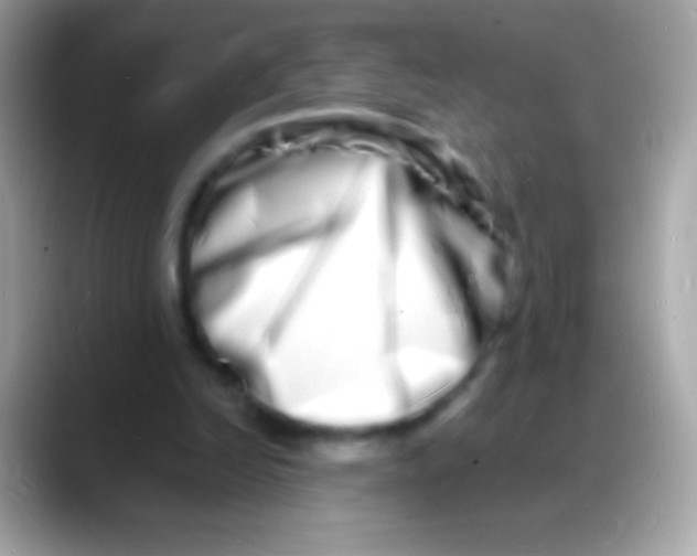 X0000088130246200706041324