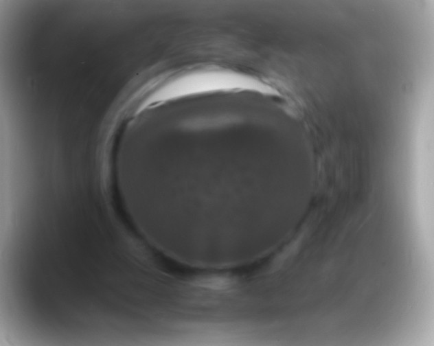 X0000088130247200706041324