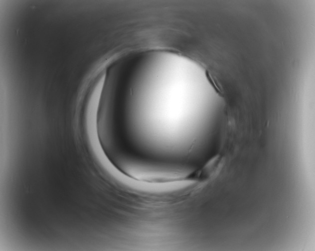 X0000088130248200706041324