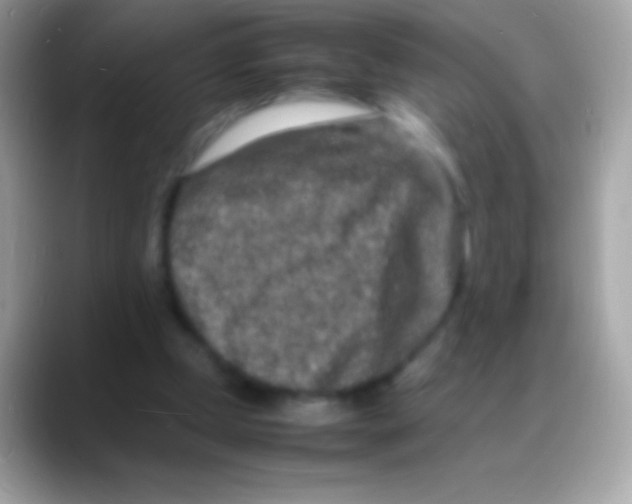 X0000088130249200706041324