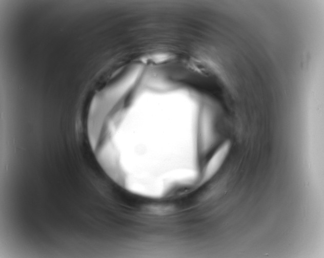 X0000088130251200706041324