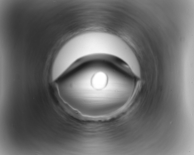 X0000088130252200706041324