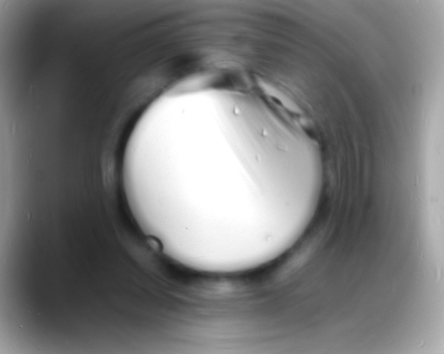 X0000088130254200706041324