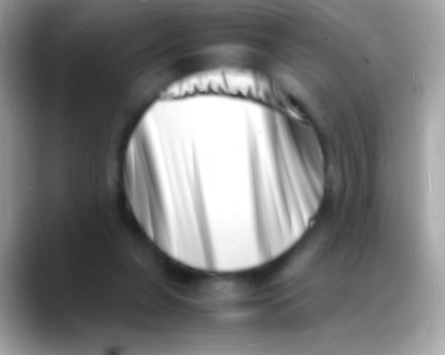 X0000088130255200706041324