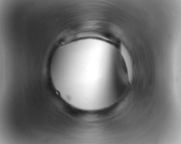 X0000088130256200706041324