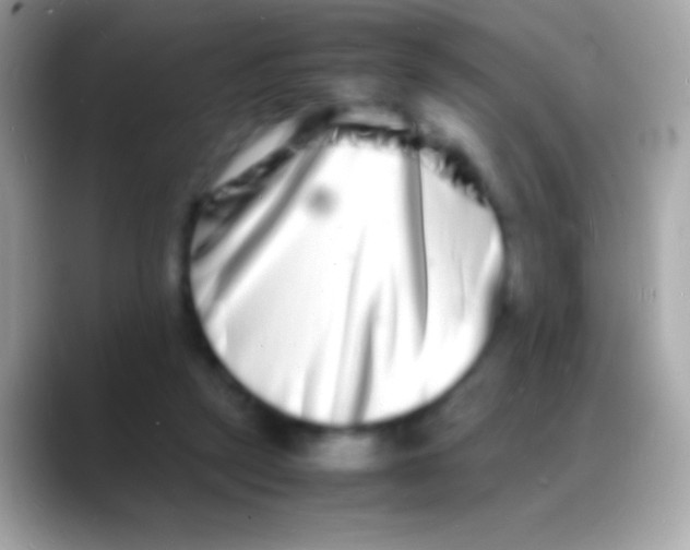 X0000088130257200706041324