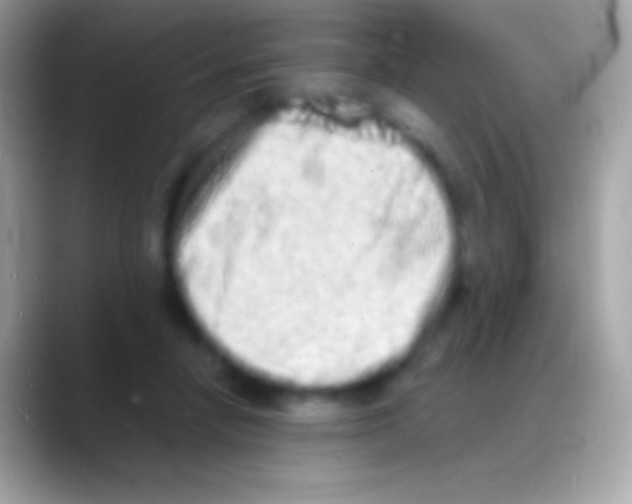 X0000088130258200706041324