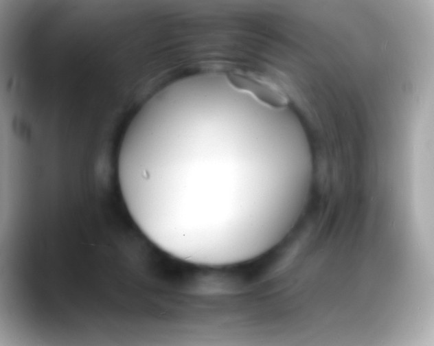 X0000088130259200706041324