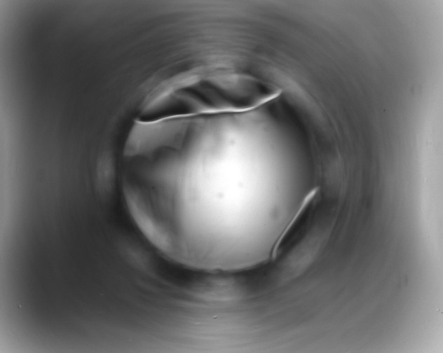 X0000088130260200706041324