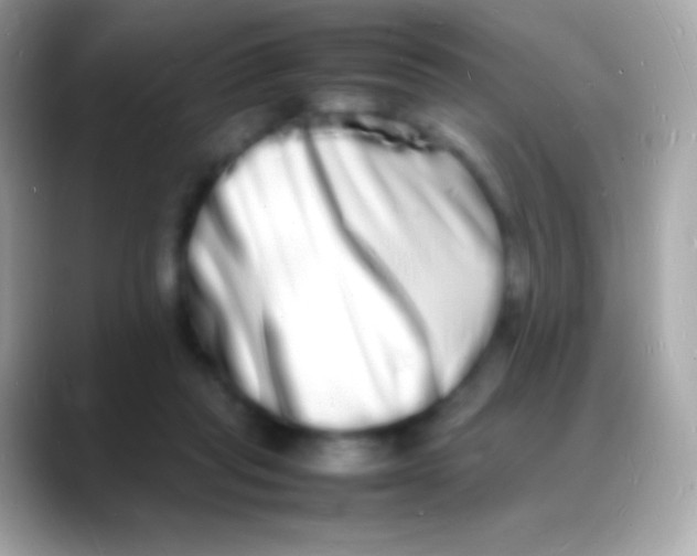 X0000088130261200706041324