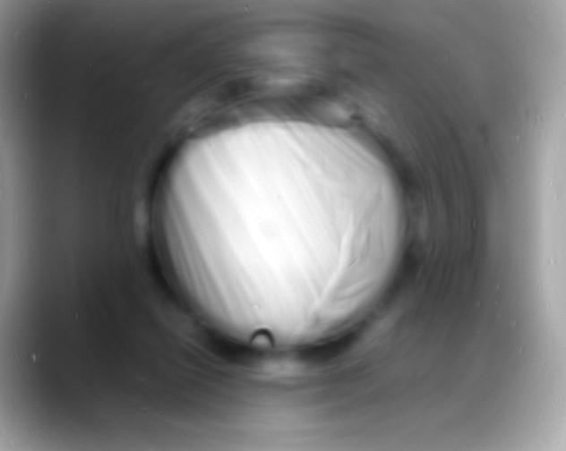 X0000088130262200706041324