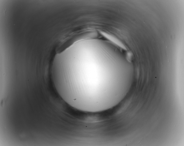 X0000088130263200706041324