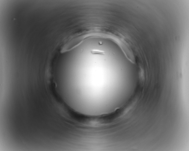 X0000088130264200706041324